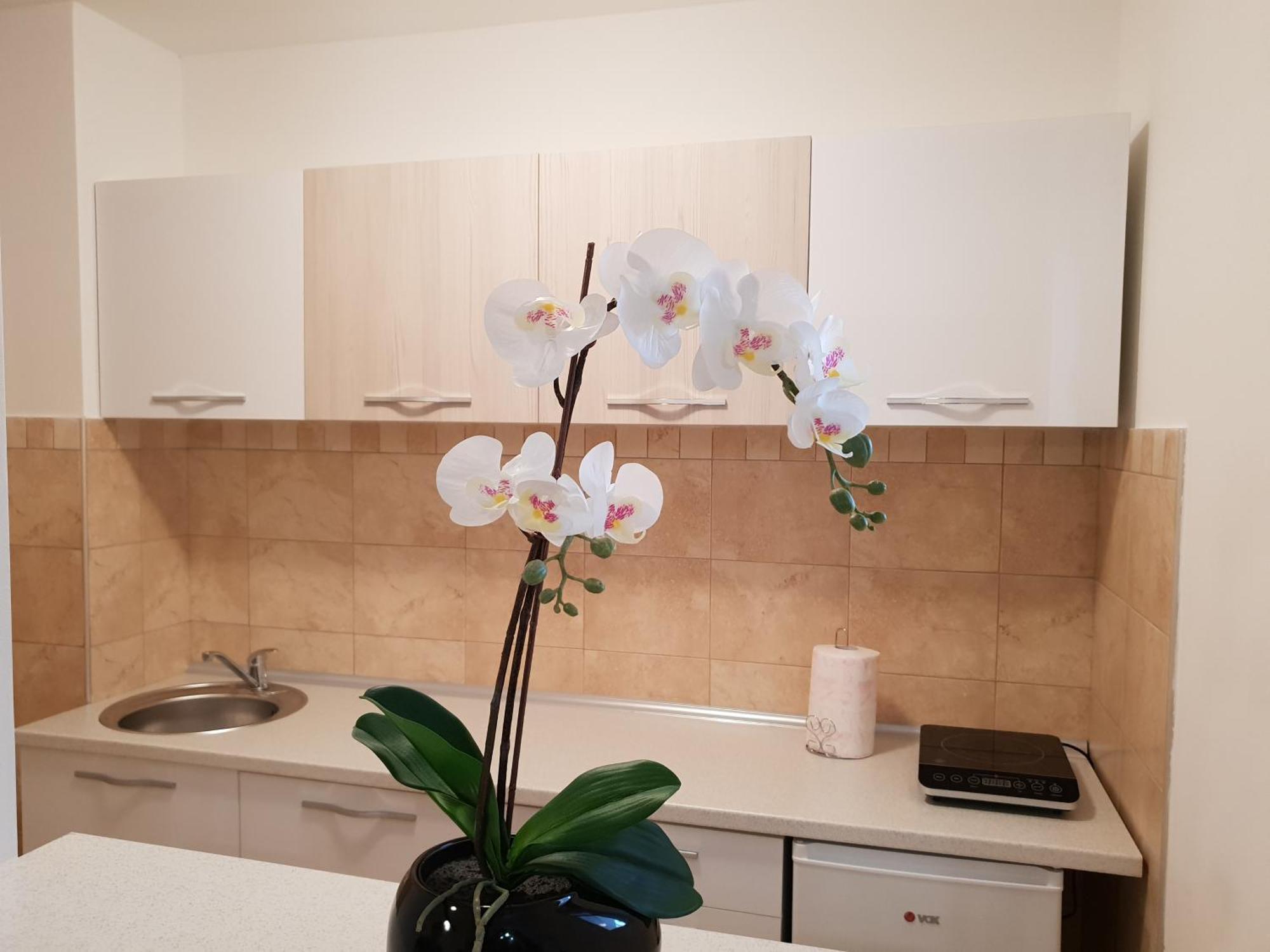 Apartman Kej Free Parking Kraljevo Esterno foto
